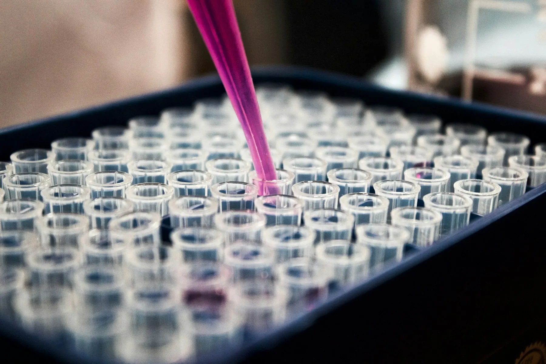 A hand pouring liquid into rows of lab test tubes